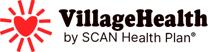 logo-village-health