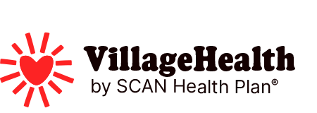 logo-village-health